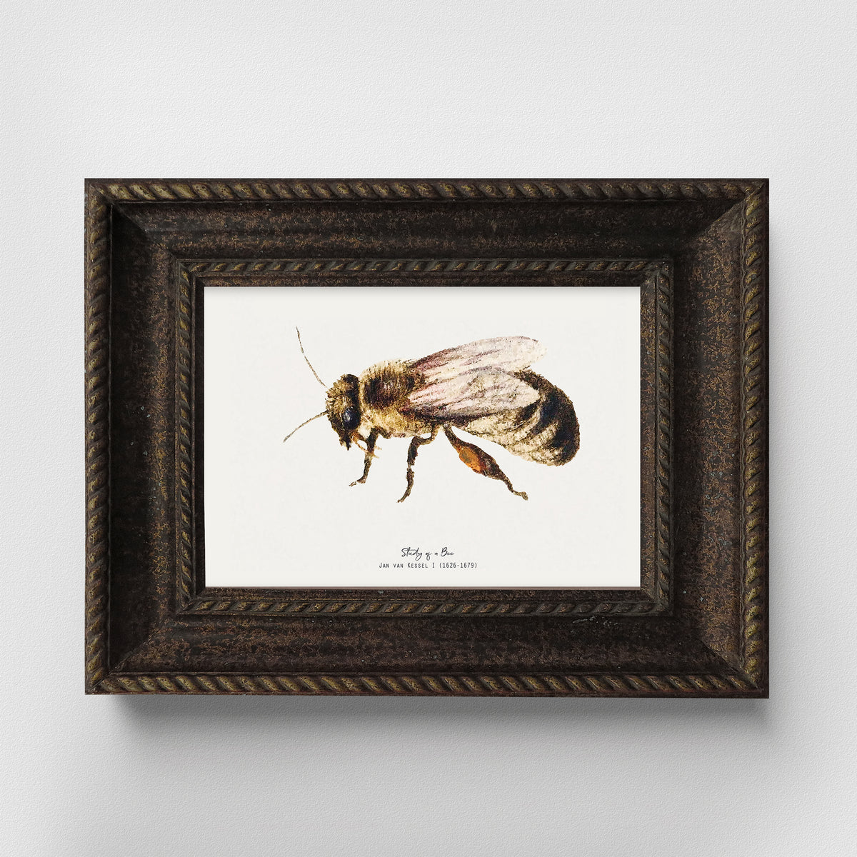 Bee Vintage Illustration Fine Art Print