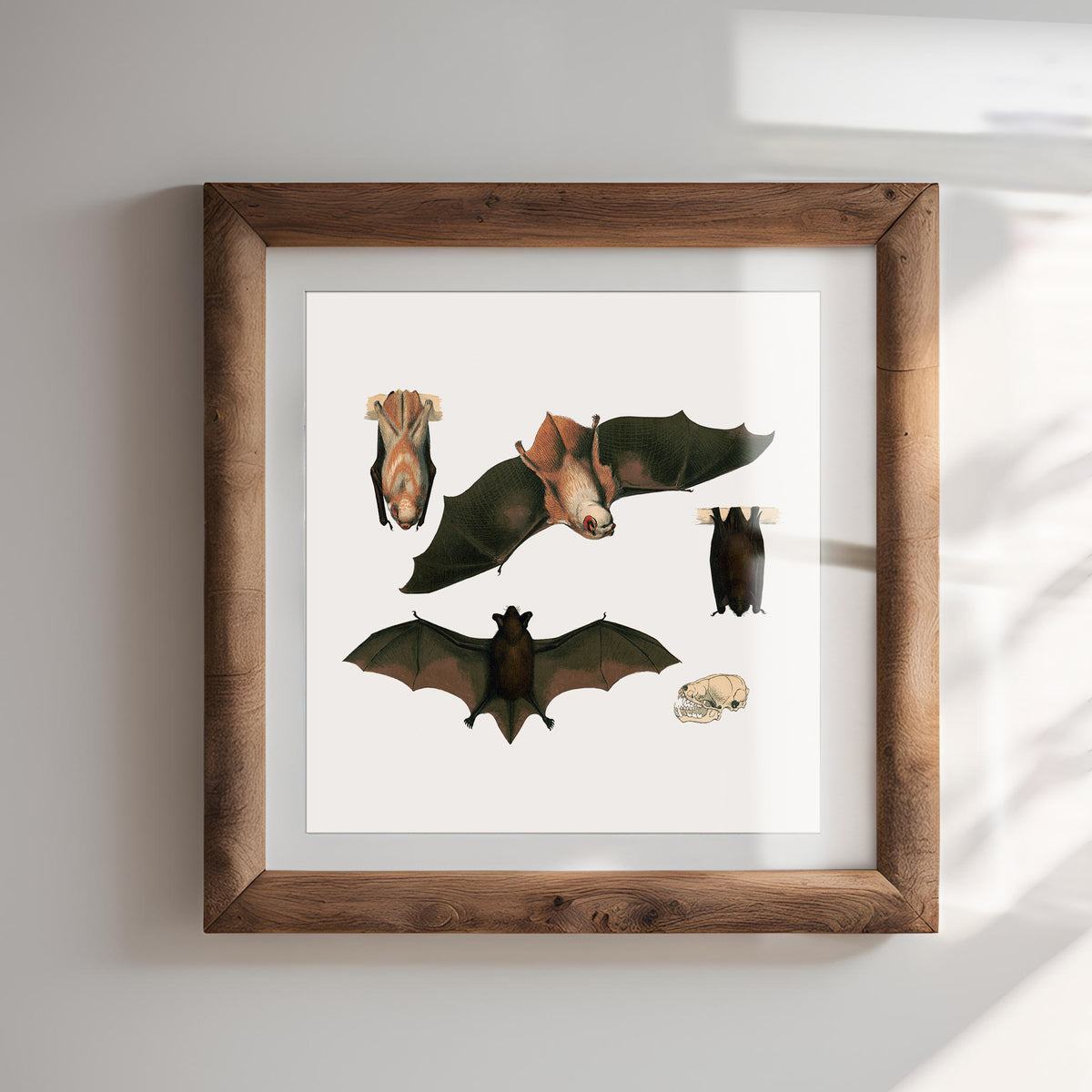 Red Bat Illustrated Fine Art Print