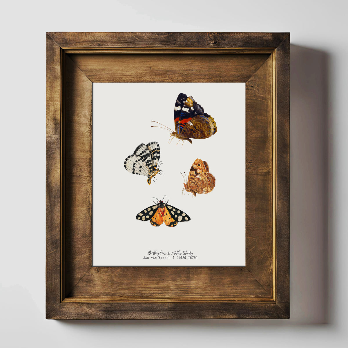 Butterfly &amp; Moth Vintage Illustration Fine Art Print