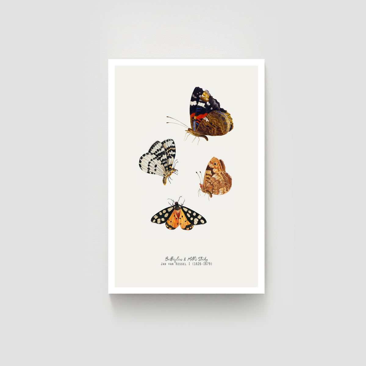 Butterfly &amp; Moth Vintage Illustration Fine Art Print