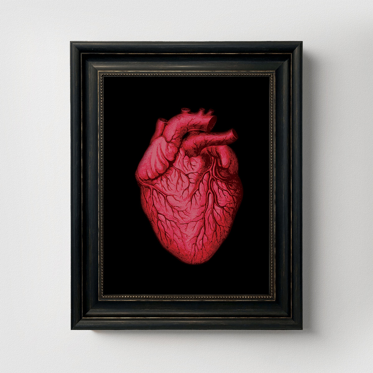 Vintage Human Heart Fine Art Print