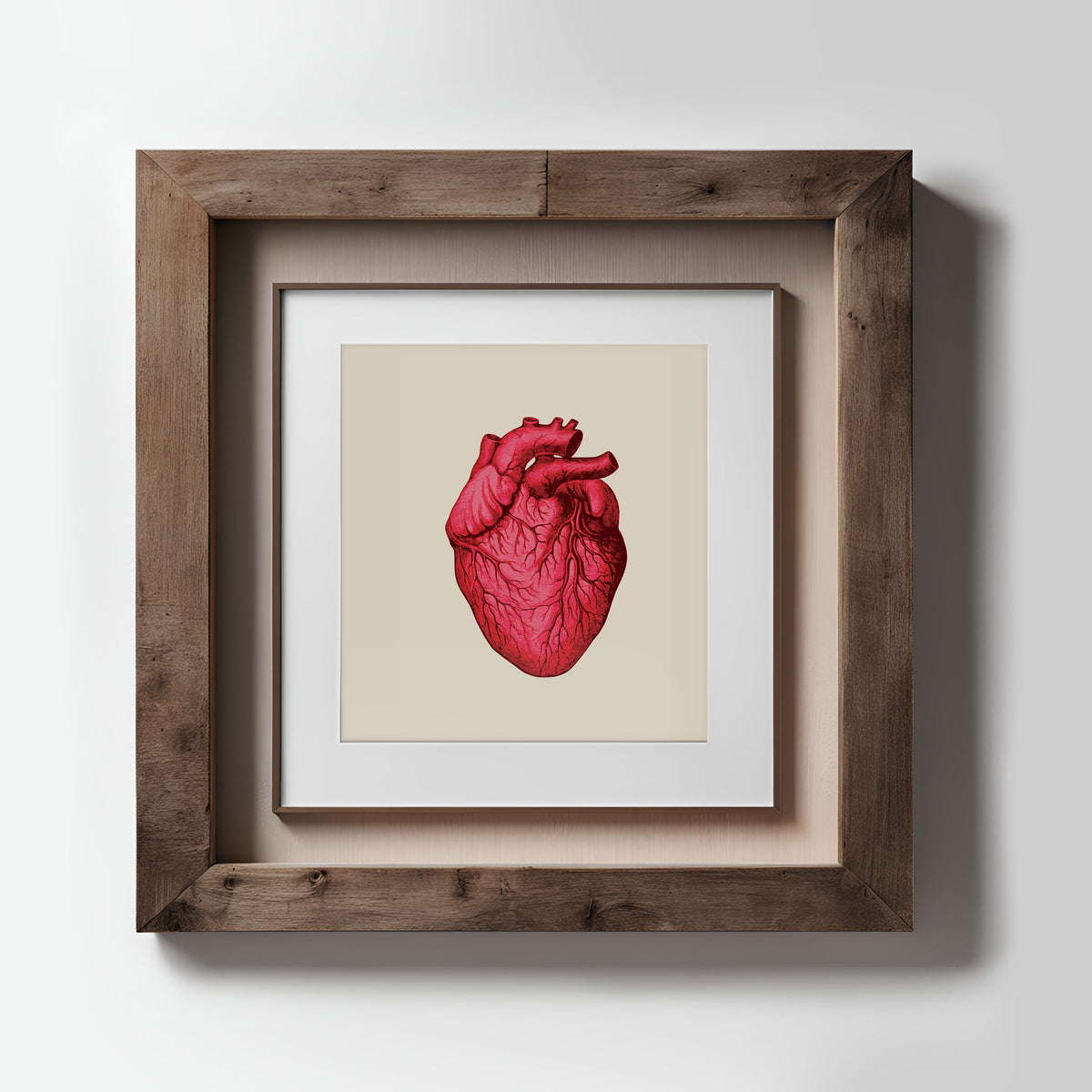 Vintage Human Heart Fine Art Print